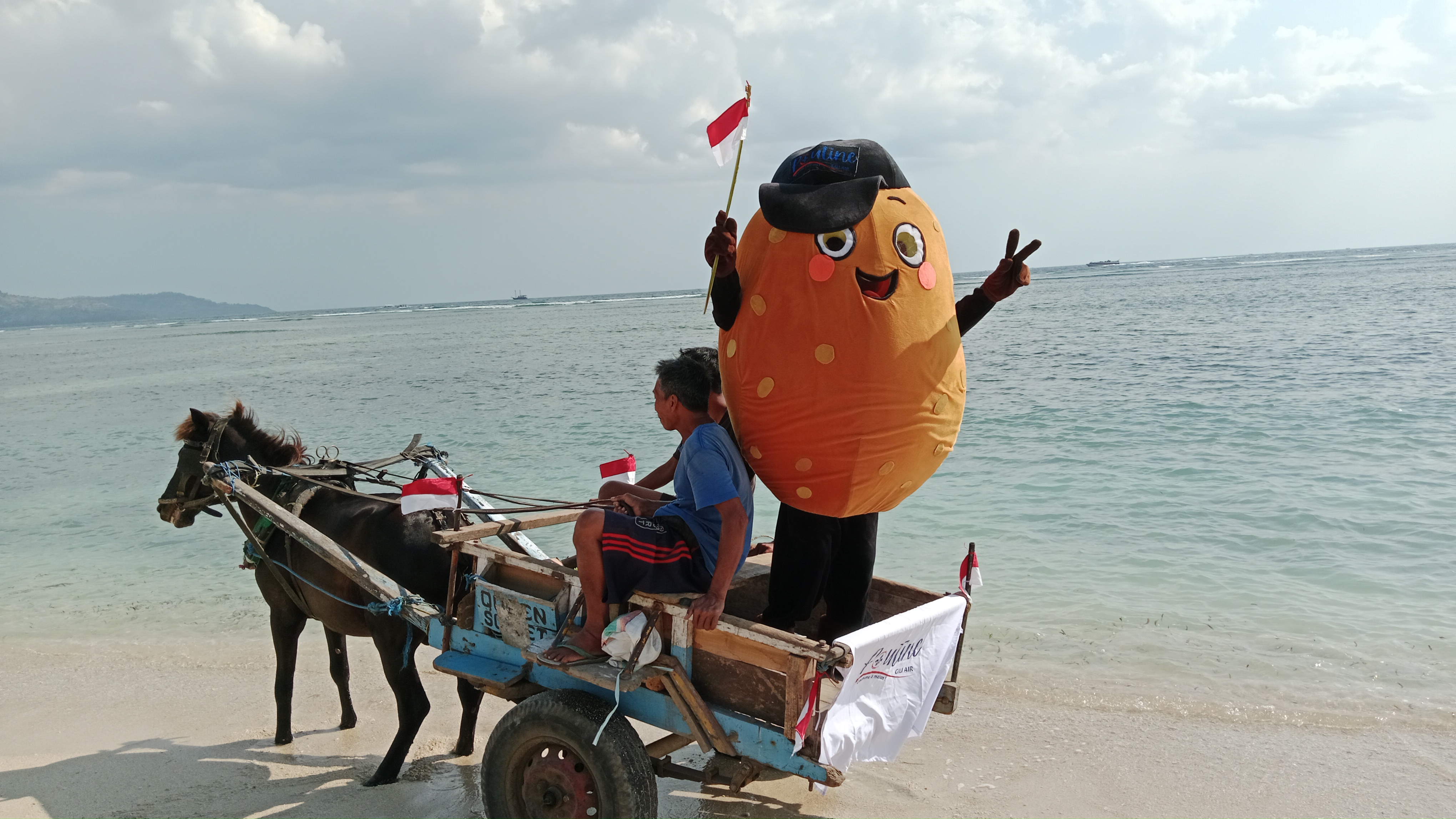 Poutine Gili Air - Pom Pom en cidomo, grand air et plage